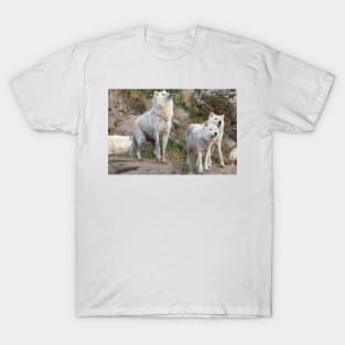 Some Arctic Wolves at play T-Shirt